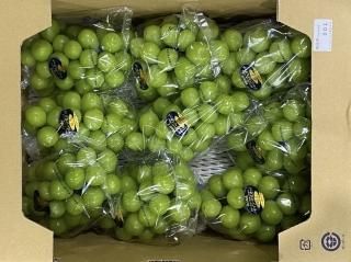 受付終了】シャインマスカット『晴王®︎』5kg - 台湾フルーツ屋