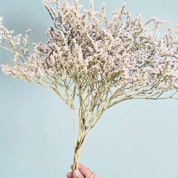 ドライフラワー・天然素材・タタリカ・白い花 サブイメージ