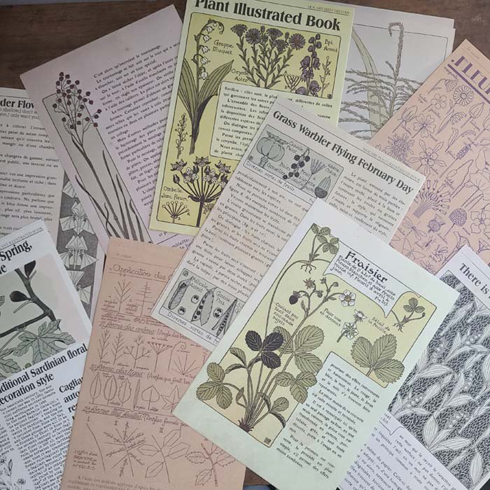 レトロ植物柄デザインペーパー20枚セット サブイメージ