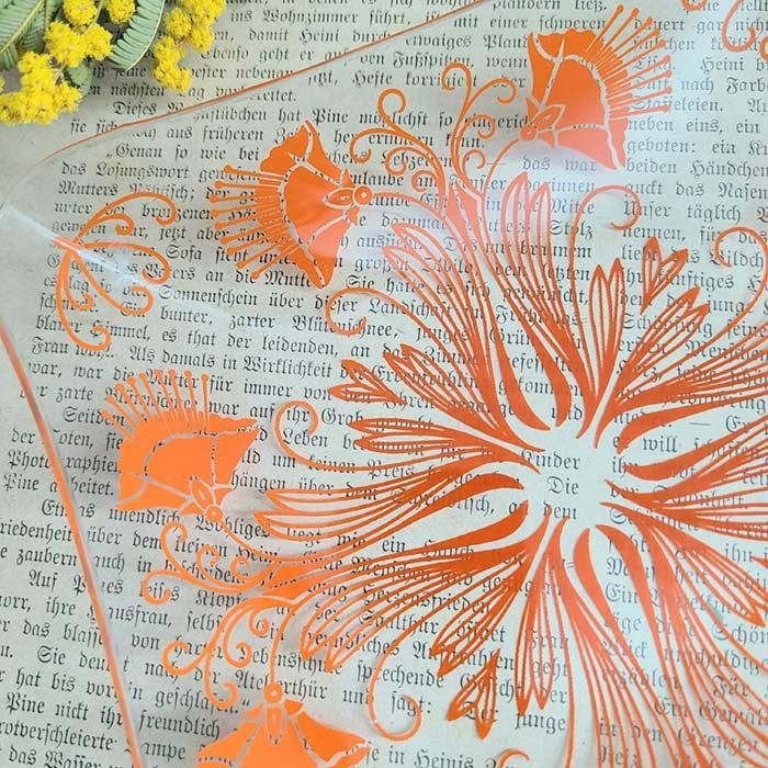 ɥ¤λԡƻ񡦥֥ȡƥĴ饹ץ졼ȡ ֥᡼