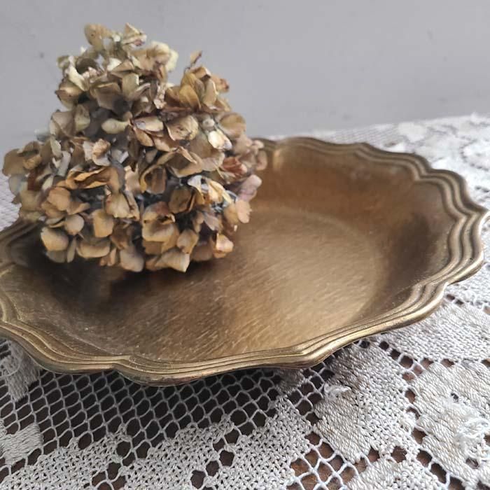 ɥ¤λԡƻ񡦥֥ȡƥĴȥߡ﫡ȥ쥤ܥ롦 ֥᡼