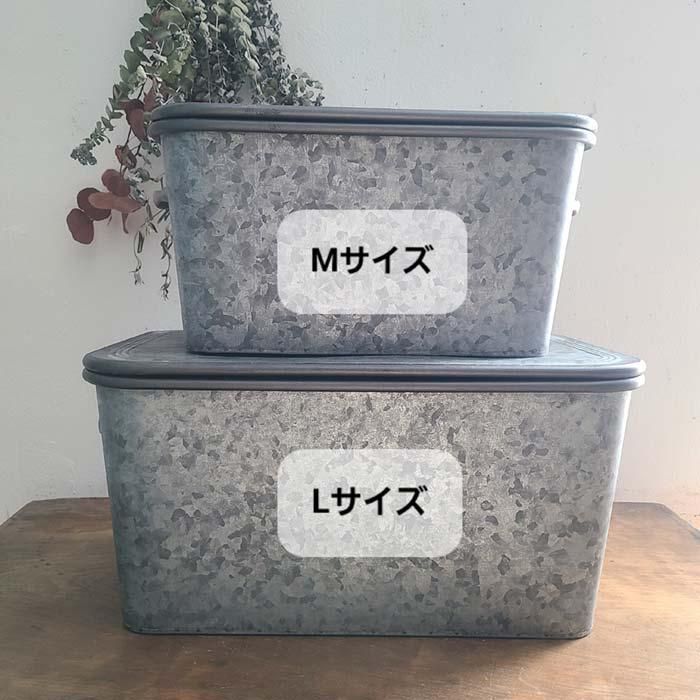 ܥåǼBOXȥ֥ꥭL ֥᡼