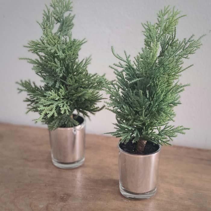 ꡼󡦥ߥơ󥰥꡼ݥåȡ饹ȭMꥹޥ ᥤ󥤥᡼