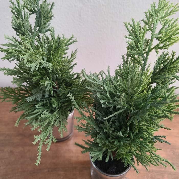 ꡼󡦥ߥơ󥰥꡼ݥåȡ饹ȭMꥹޥ ֥᡼