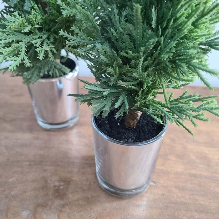 ꡼󡦥ߥơ󥰥꡼ݥåȡ饹ȭMꥹޥ ֥᡼