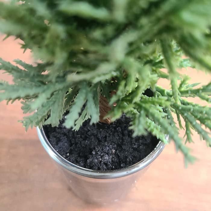 ꡼󡦥ߥơ󥰥꡼ݥåȡ饹ȭMꥹޥ ֥᡼