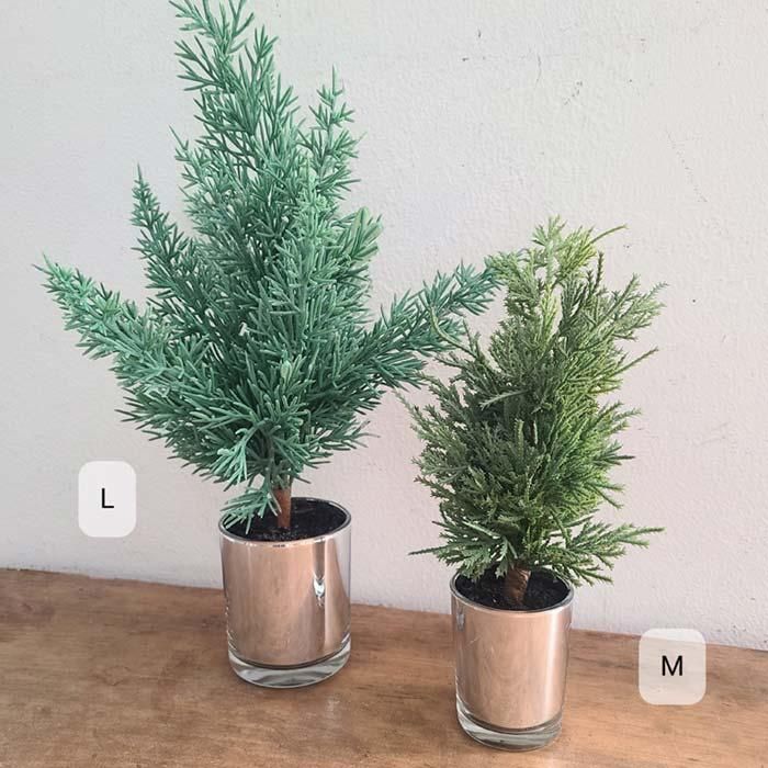 ꡼󡦥ߥơ󥰥꡼ݥåȡ饹ȭMꥹޥ ֥᡼