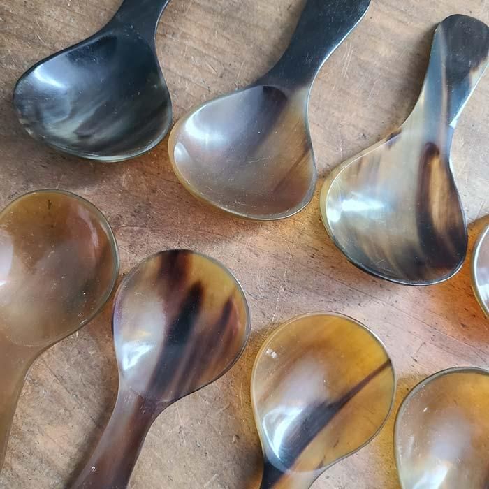 ٥ȥʥࡦγѡ㤵᥸㡼ס󡦥ȥ꡼ ֥᡼