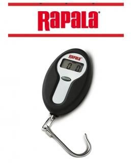 ѥ ߥ ǥ  RMDS-25 Ź̲ʡ