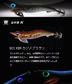ޥꥢ  K HF 3.0 B05 KBR ֥饦 / ᡼ز Ź̲ʡ