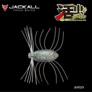 å  () (᡼ز)  Ź̲ʡ