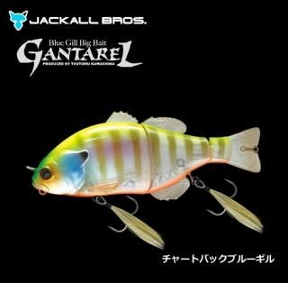 å 󥿥 (㡼ȥХå֥롼) (᡼ز) Ź̲ʡ