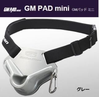 ǥߡ GMѥåɥߥ (졼)  Ź̲ʡ