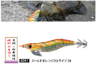 ǥ奨 / 衼 ꡼Q RS 3.5 G281 ɥ󥸥ȥ饤 / ᡼ز Ź̲ʡ
