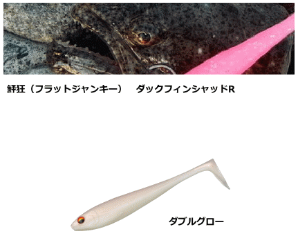 ダイワ 鮃狂 フラットジャンキー ダックフィンシャッドr 定番キャンバス メール便可 本店特別価格 2 5インチ ダブルグロー
