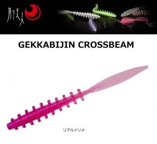   ӡ 1.5 ꥢ륤 / ᡼ز /  Ź̲ʡ