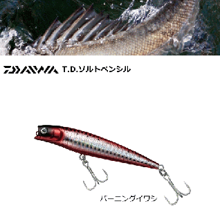  T.D.ȥڥ󥷥 70F (С˥󥰥亮) (᡼ز) Ź̲ʡ