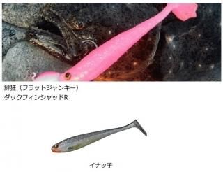  򹶸 åե󥷥åR 3.5 ʥû / ᡼ز Ź̲ʡ