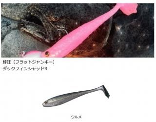  򹶸 åե󥷥åR 5  / ᡼ز Ź̲ʡ