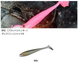  򹶸 åե󥷥åR 5 հ / ᡼ز Ź̲ʡ