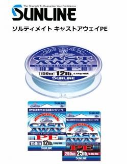 饤 ƥᥤ 㥹ȥPE  30LB 150m Ź̲ʡ 