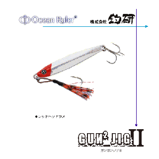 롼顼 󥬥󥸥2 (30g/åɥإåɥ) (᡼ز)  Ź̲ʡ