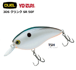 衼ť ǥ奨 3DS  SR 50F F1139 12 TSH / ᡼ز Ź̲ʡ
