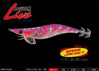 ޥꥢ Q LIVE ١å 2.0 R34 VAG (᡼ز) Ź̲ʡ