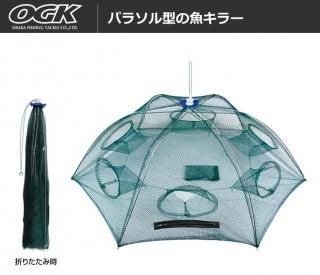 ӡ OGK ѥ饽뷿 顼 6 / SALE10 Ź̲ʡ
