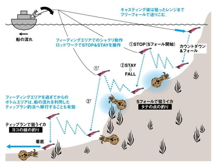 ダイワ エメラルダスボート RV(ラトル) 3.5号 30g 赤-ブラウン杉 / エギング 餌木 ダイワ エメラルダスボート RV(ラトル) 3.5号 30g 赤-ブラウン杉 / エギング 餌木