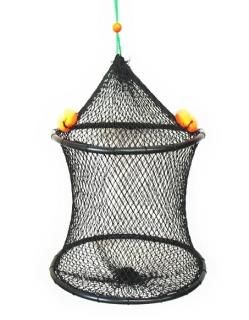 饤 ۡ  KG-119 30cm2 / SALE10 / Ĥ Ź̲ʡ