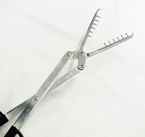 スピード対応 全国送料無料 エビばさみ エビバサミ うなぎ ウツボ 魚