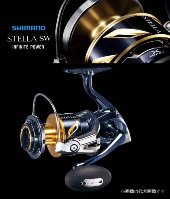 SHIMANO シマノ ステラ 19 SW 10000PG