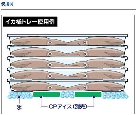 ダイワ イカ様トレー(M) / イカトレー ダイワ イカ様トレー(M) / イカトレー