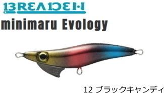 ブリーデン ミニマル エボロジー 2 6g ノーマル 12 ブラックキャンディ ルアー メール便可