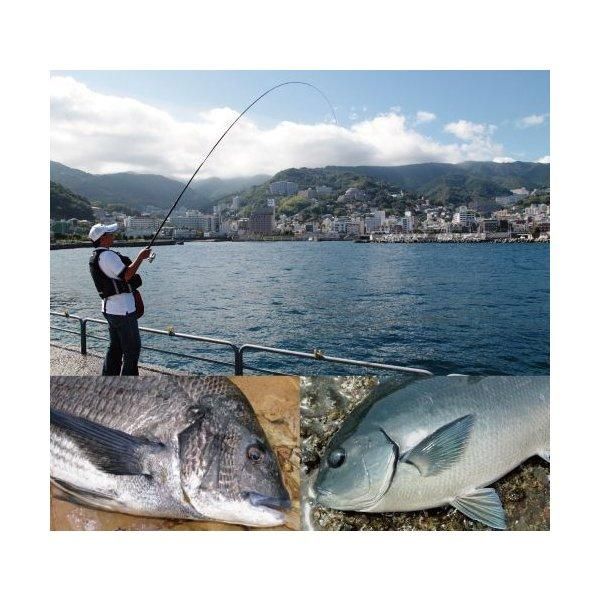 磯竿 ダイワ リーガル 1.5号-53 (D01) (O01) 【本店特別価格】