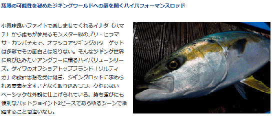 Amazon | ダイワ(DAIWA) ジギングロッド ヴァデル 61MLS 釣り竿