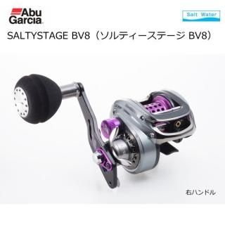  륷 ƥơ BV8 ϥɥ (̵) Ź̲ʡ