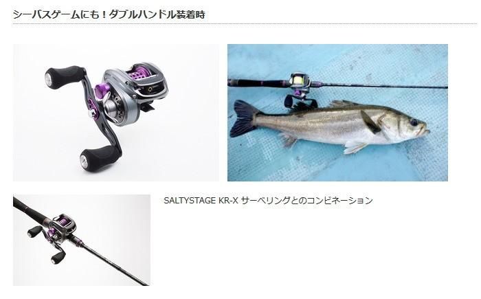 ★☆ アブガルシア ソルティーステージ BV8 超美品 ★☆ SALTYSTAGE BV8（ソルティーステージ BV8）｜AbuGarcia｜釣具の