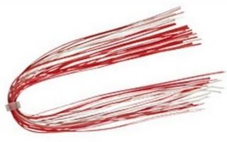  ٥С ꥳ󥹥 åɥۥ磻 /    (᡼ز) Ź̲ʡ