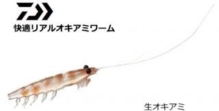  Ŭꥢ륪ߥ # LL / 륢  (᡼ز)   Ź̲ʡ