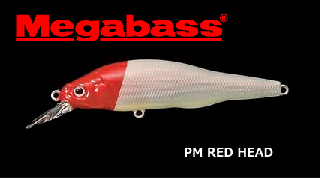 ᥬХ X-80SW #PM åɥإå / 륢 (᡼ز)  Ź̲ʡ