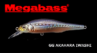 ᥬХ X-80SW #GG ϥ饤亮 / 륢 (᡼ز)  Ź̲ʡ