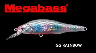 ᥬХ X-80SW #GG 쥤ܡ / 륢 (᡼ز)  Ź̲ʡ