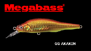 ᥬХ X-80SW #GG  / 륢 (᡼ز)  Ź̲ʡ