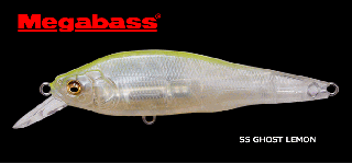 ᥬХ X-80SW LBO #SS ȥ / 륢 / ᡼ز /  Ź̲ʡ