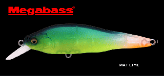 ᥬХ X-80SW LBO #ޥåȥ饤 / 륢 / ᡼ز /  Ź̲ʡ