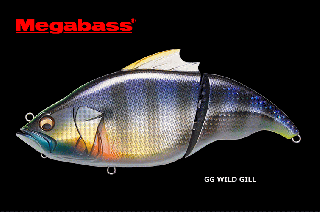 ᥬХ VATALION ꥪ 190 #GG 磻ɥ / 륢 /  Ź̲ʡ