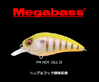 �ᥬ�Х� SUPER-Z Z1 �����ѡ������� #PM �ۥåȥ��� II / �륢�� / �᡼���ز� / ��� ����Ź���̲��ʡ�