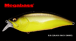 ᥬХ BIG-M (ӥå) 2.0 #B.B.C (֥åХå㡼) / 륢  Ź̲ʡ